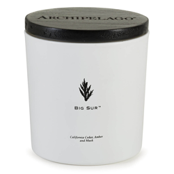 Archipelago Botanicals Coastal Luxe Candle - Big Sur características