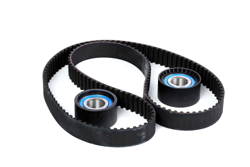 SKF Kit De Distribution VKMA 02383  OPEL,IVECO,RENAULT,MOVANO Furgón F9,MOVANO Caja/Chasis U9, E9,MOVANO Combi J9,MOVANO Volquete H9,ARENA Autobús características