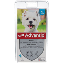Advantix Petit chien de 4 kg - 10 kg precio