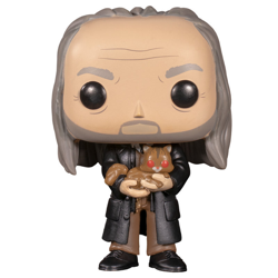 FILCH ET MRS NORRIS / HARRY POTTER / FIGURINE FUNKO POP / EXCLUSIVE NYCC 2019 precio