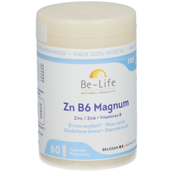 Be-Life Zn-B6 Magnum precio