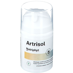 Artrisol características