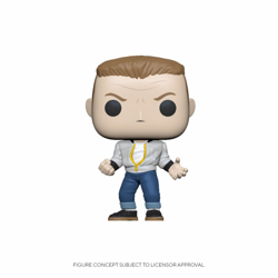 BIFF TANNEN / RETOUR VERS LE FUTUR / FIGURINE FUNKO POP precio