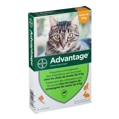 Advantage 40 pour chat et lapin