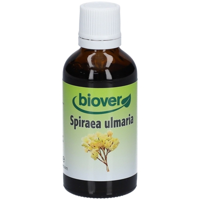 biover Spiraea ulmaria
