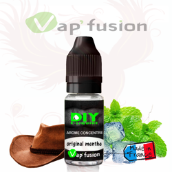 Original menthe- arome concentre - 10ml - Diy - Vapfusion precio