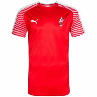 Danemark PUMA DHF Hommes Maillot de handball 750675-01