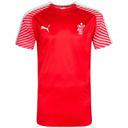 Danemark PUMA DHF Hommes Maillot de handball 750675-01 precio