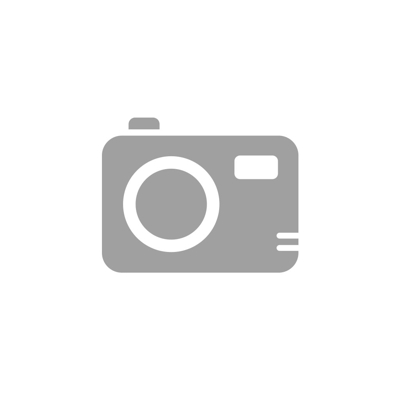 Sony 55mm 1:1.8 AF FE T* ZA noir - comme neuf