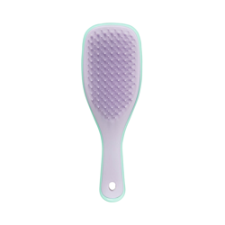 Tangle Teezer The Wet Detangler Mini Wisteria Leaf características