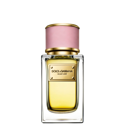 Dolce&Gabbana Velvet Collection Love Eau de Parfum 50ml características