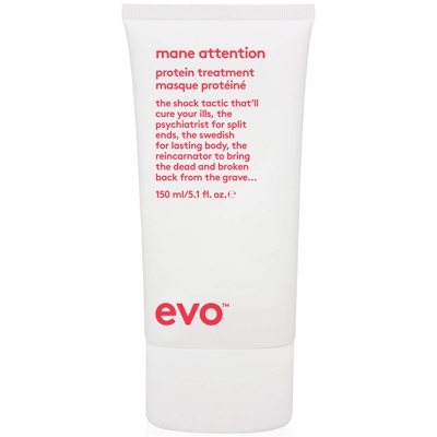evo Mane Attention Protein Treatment