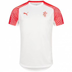 Danemark PUMA DHF Hommes Maillot de handball 750675-12 en oferta