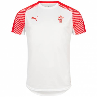 Danemark PUMA DHF Hommes Maillot de handball 750675-12
