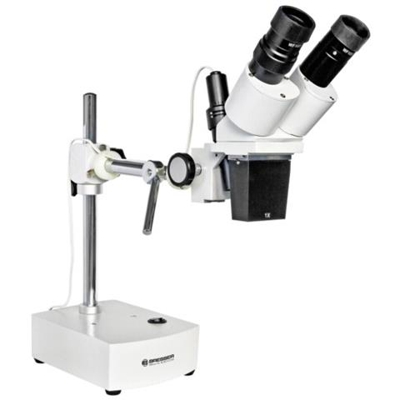 Biorit ICD-CS 10x microscopio (30.5)