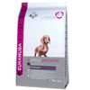 Eukanuba Bassotto Tedesco - 2,5 kg en oferta