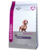 Eukanuba Bassotto Tedesco - 2,5 kg