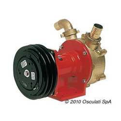 Pompa autoaspirante a frizione 120 l / min en oferta