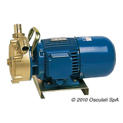 Pompa sentina bronzo 120 l / min en oferta
