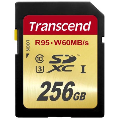 Scheda di Memoria SDXC 256 GB UHS-I di Classe 3 Velocità 95 MB / s