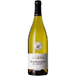 BOURGOGNE ALIGOTE 2019 - DOMAINE COLBOIS precio