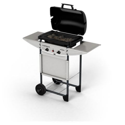 Barbecue Expert Plus características