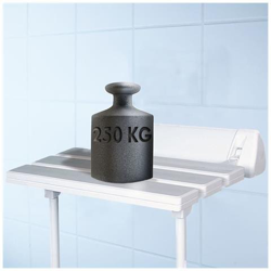 Sedile Pieghevole Per Doccia Bianco Xxl A0020301 en oferta
