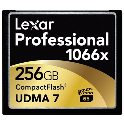 1066X CF PROFESSIONAL UDMA7 256GB