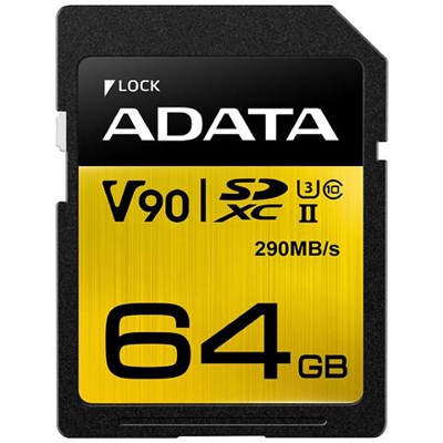 Scheda di Memoria SDXC Capacità 64 GB Classe 10 Velocità 290 MB / s