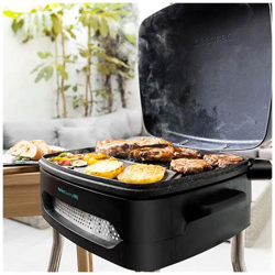 Barbecue Elettrico Perfectcountry Bbq 2000w V1704799 características