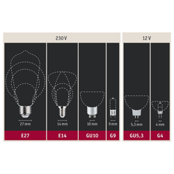Paulmann LED-Globe E27 Inner Shape G95 4W oro en oferta