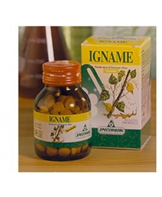 Igname Erbe 60tav