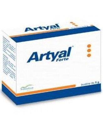 Artyal Forte 20 Bust