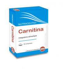 Carnitina 40cpr características