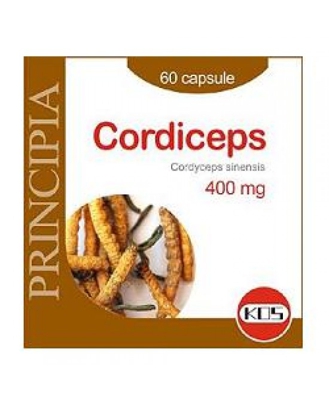 Cordiceps Estratto Secco 60cps