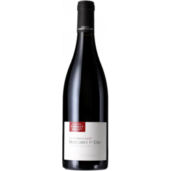 MERCUREY 1ER CRU - LES COMBINS 2018 - DOMAINE THEULOT JUILLOT precio