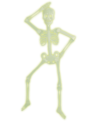 Scheletro articolato fosforescente Halloween características