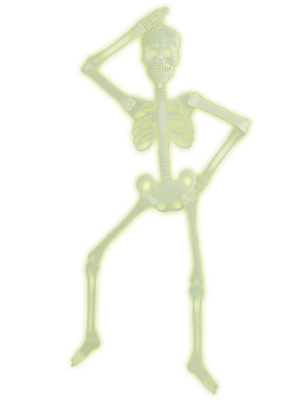 Scheletro articolato fosforescente Halloween