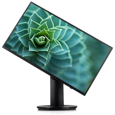 Monitor 23.8'' LED ADS 1920x1080 FHD Tempo di risposta 5ms