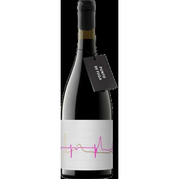 PUNTO DE FUGA CORRAL DEL MATE 2018 - VINA ZORZAL
