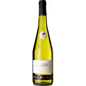 MUSCADET SEVRE ET MAINE SUR LIE 2019 - DOMAINE DE L'ESPERANCE