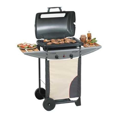 Barbecue a Gas con Pietra Lavica