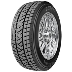 Gomme Pneumatico Invernali 215-60 R17 características
