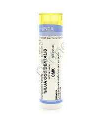 Cemon Unda Thuya Occidentalis LMk Globuli 6g precio
