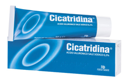 CICATRIDINA POMATA 60 G precio