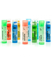 Boiron Cantharis 9ch Granuli 4g precio