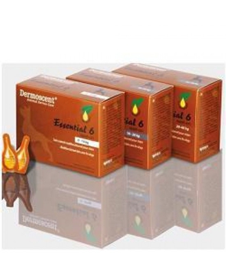 Essential 6 Spot On Cane 10/20