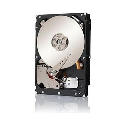 Hard Disk Interno Constellation ES. 3 2 TB Sata III 6 Gb / s 3.5'' Buffer 128 MB 7200 Rpm