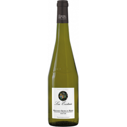 MUSCADET SEVRE ET MAINE LES ECOTAIS 2018 - LOIRE PROPRIETES precio