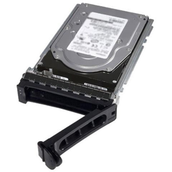 Hard Disk 400-AUWC 2 TB 2.5'' Interfaccia NL-SAS 12 Gb / s 7200 Rpm características